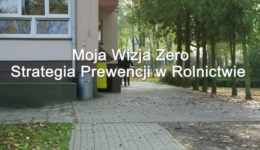 video-15743450551-1