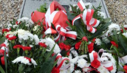 DSCN4847